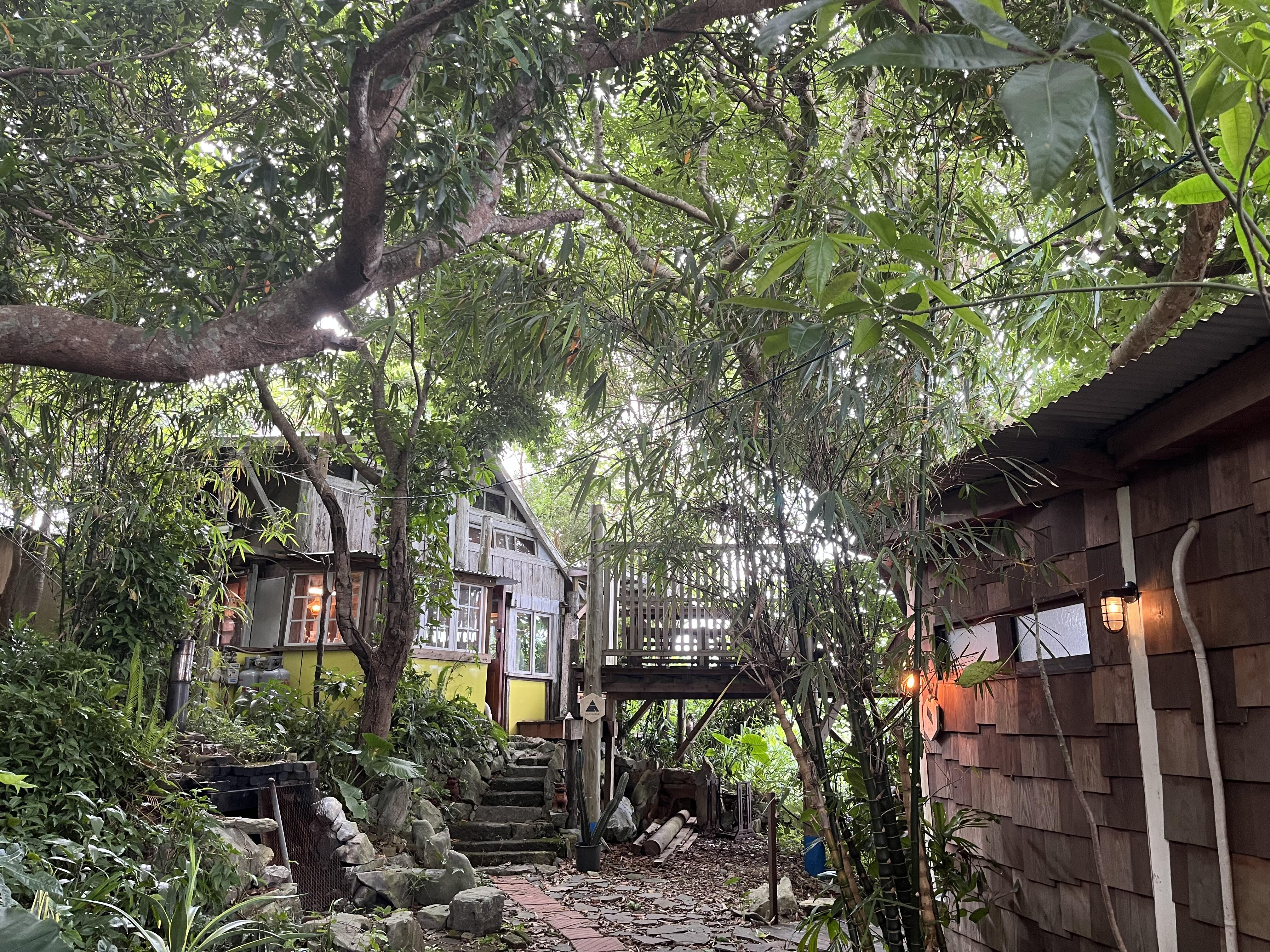 【Sauna & Cafe】森の巣箱で癒し体験♡ ~Healing experience in Yanbaru forest~