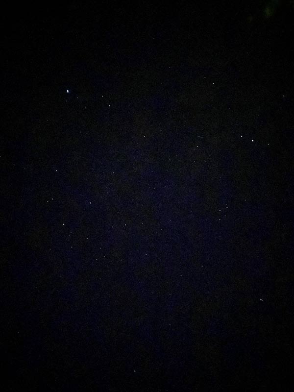 やんばるの森でキャンプ