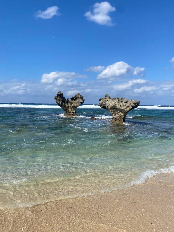 今帰仁・本部エリア
