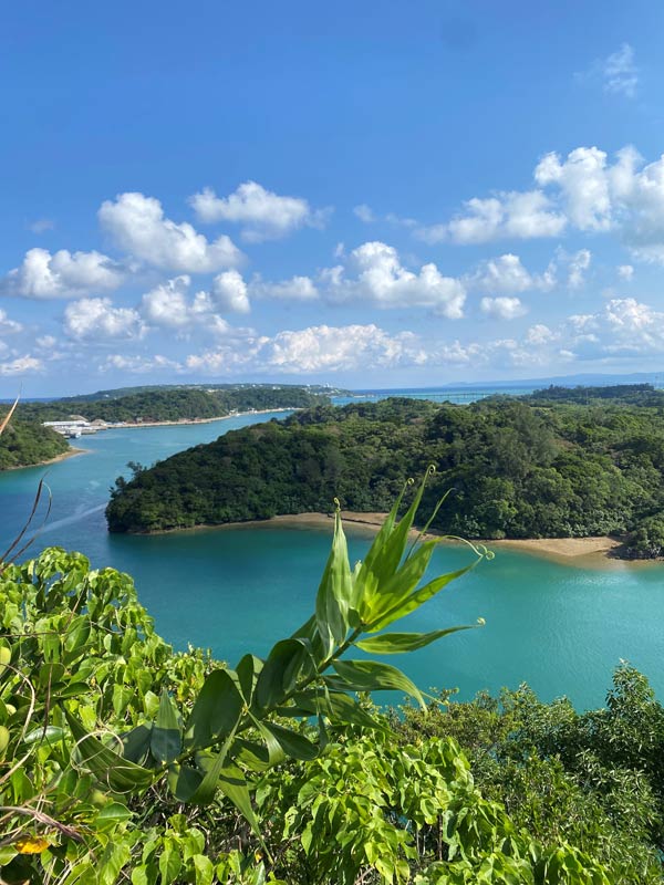 今帰仁・本部エリア