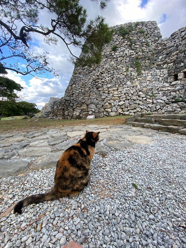 今帰仁・本部エリア