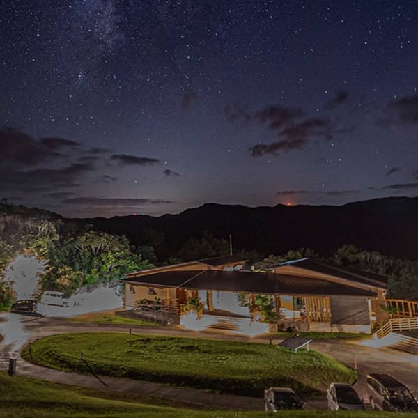 Yanbaru Discovery Forest